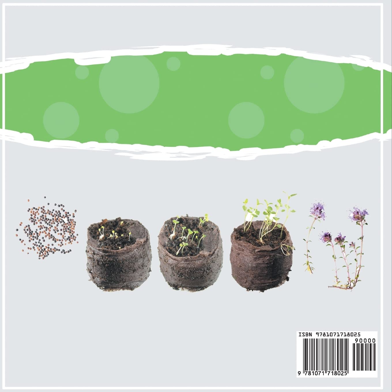 Life Cycle Of A Plant | Discover Intriguing Facts | Children's Earth Sciences Book